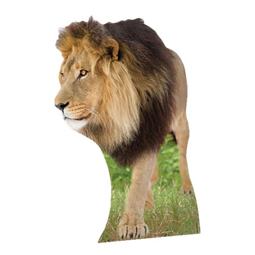 Lion Lifesize Cardboard Cutout - 130cm Product Image