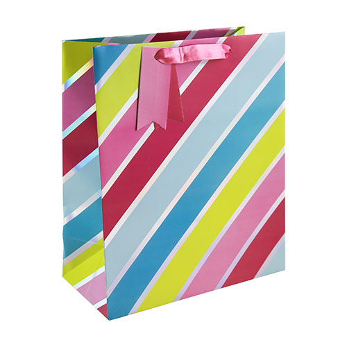 Luxury Multicolour Stripes Large Gift Bag 33cm Product Image