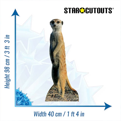 Meerkat Star Mini Cardboard Cutout 98cm Product Gallery Image