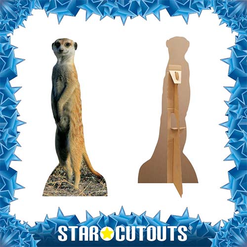 Meerkat Star Mini Cardboard Cutout 98cm Product Gallery Image