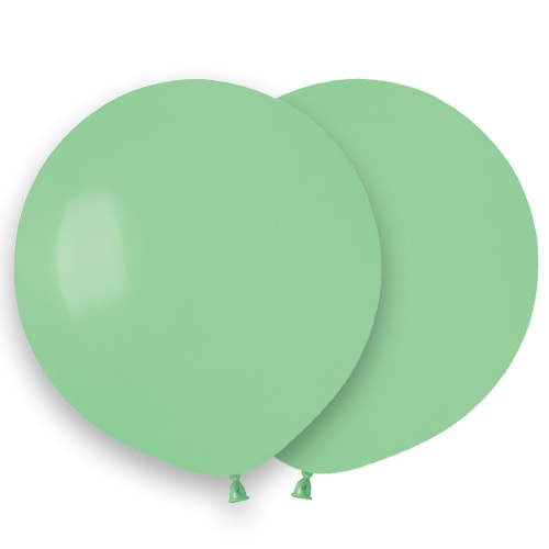 Mint Green Biodegradable Latex Balloons 48cm / 19 in - Pack of 25 Product Image