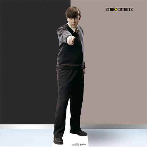 Neville Longbottom Harry Potter Matthew Lewis Lifesize Cardboard Cutout 183cm Product Gallery Image