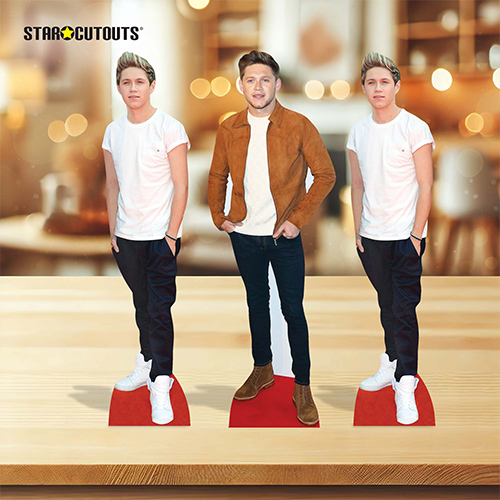 Niall Horan Table Top Cardboard Cutouts - Pack of 3 Product Gallery Image