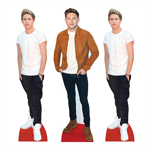 Niall Horan Table Top Cardboard Cutouts - Pack of 3 Product Gallery Image