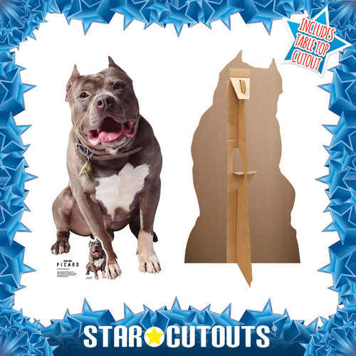 Number One Star Trek: Picard Star Mini Cardboard Cutout 72cm Product Gallery Image