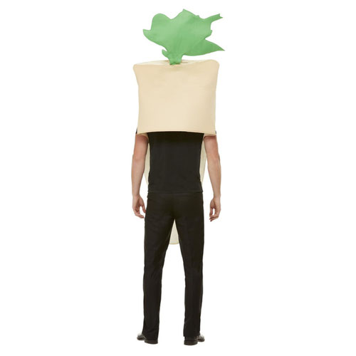 Parsnip Christmas Fancy Dress Costume Unisex Adult One Size Product Gallery Image