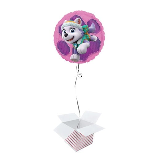 Paw Patrol Pink Skye And Everest Foil Helium Balloon - Inflated Balloon in a Box Product Gallery Image