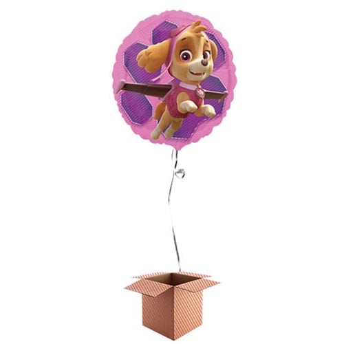 Paw Patrol Pink Skye And Everest Foil Helium Balloon - Inflated Balloon in a Box