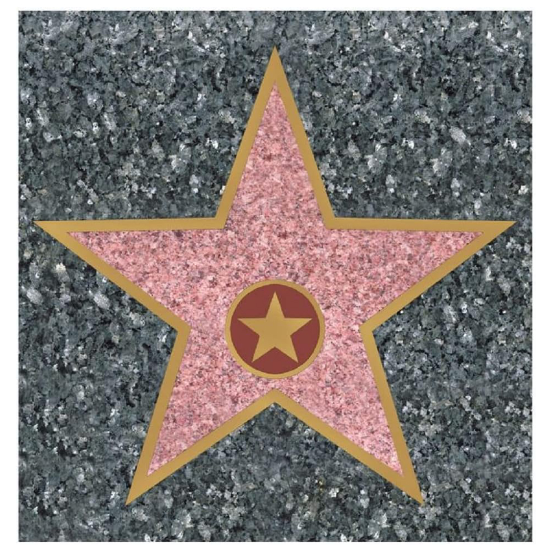 Peel-N-Place Personalisable Hollywood Walk of Fame Sticker