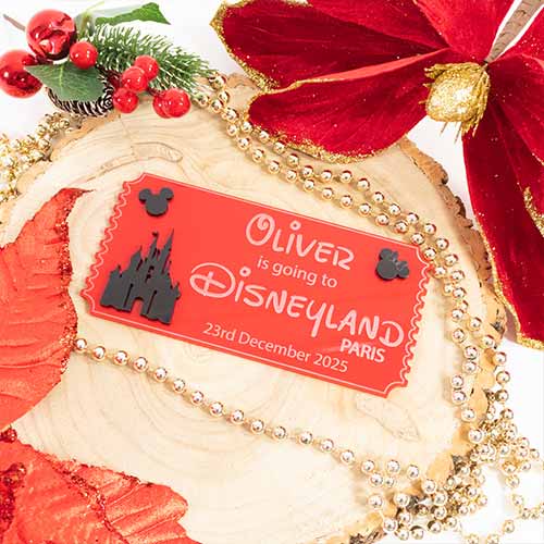 Personalised Magical Theme Park Paris Florida Ticket 3D Red Acrylic Keepsake Memento Gift Product Gallery Image