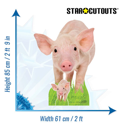 Piglet Star Mini Cardboard Cutout 85cm Product Gallery Image