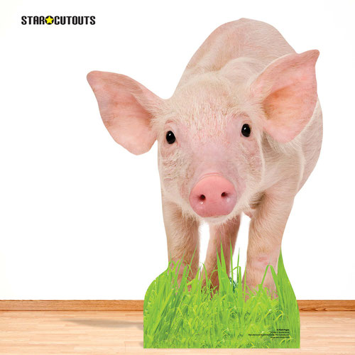 Piglet Star Mini Cardboard Cutout 85cm Product Gallery Image