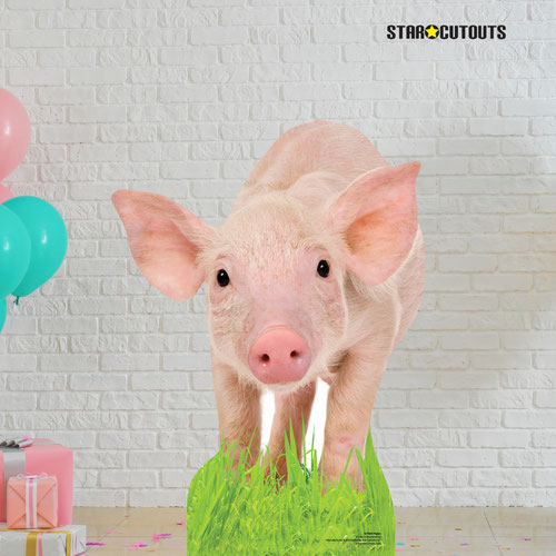 Piglet Star Mini Cardboard Cutout 85cm Product Gallery Image