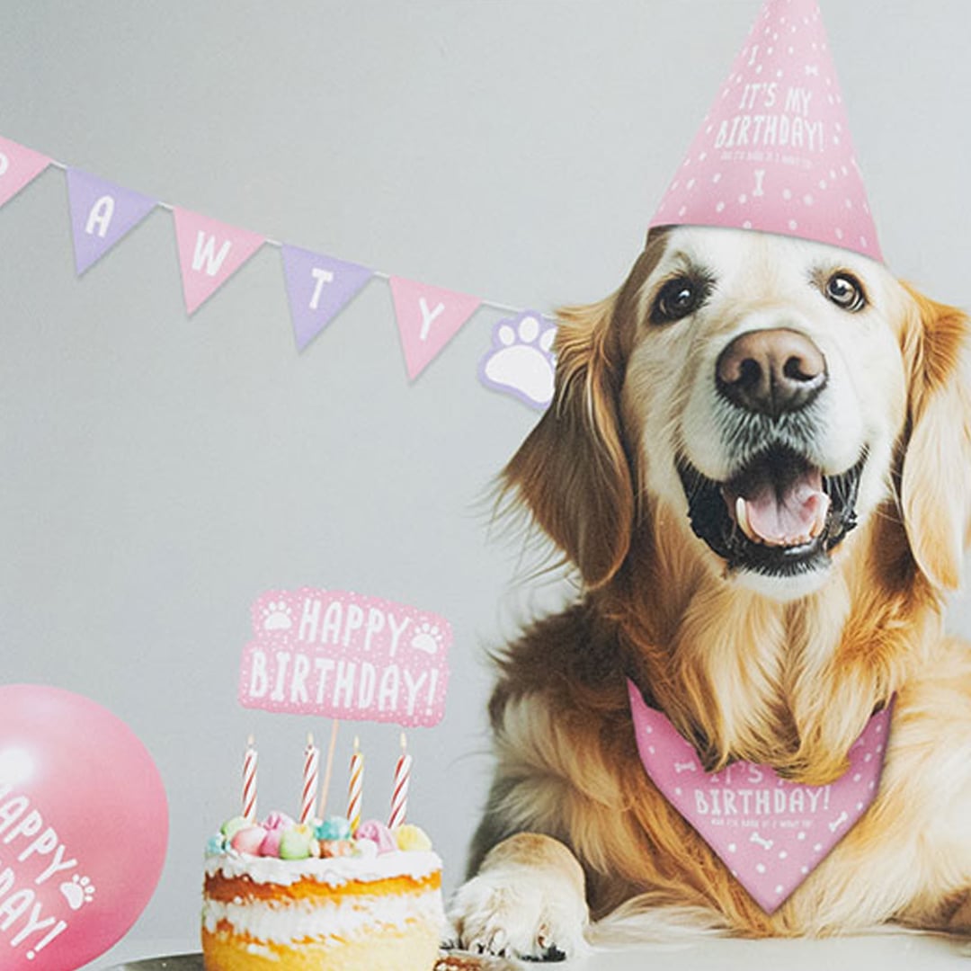 Pink Pet Cat & Dog Birthday Kit Product Gallery Image