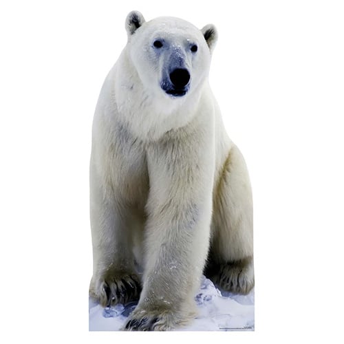 Polar Bear Lifesize Cardboard Cutout 176cm Product Gallery Image