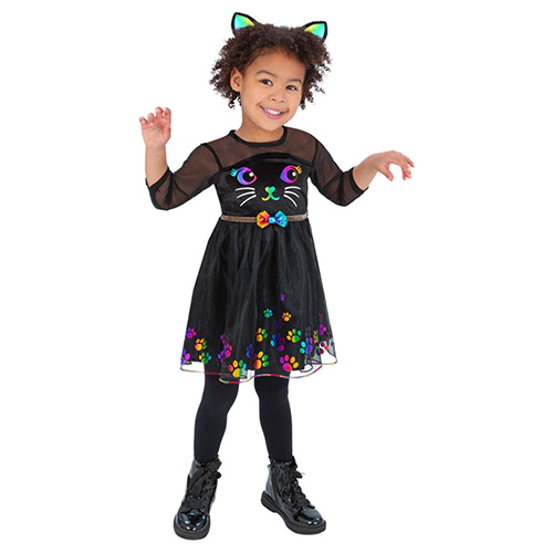 Rainbow Cat Girls Fancy Dress Costume Toddler Age 3-4 Product Gallery Image