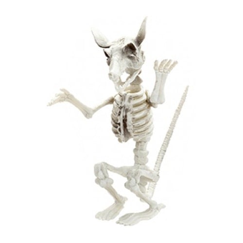 Rat Skeleton Halloween Plastic Prop Decoration 18cm Product Image