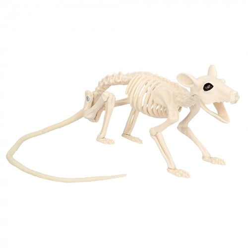 Rat Skeleton Halloween Plastic Prop Decoration 46cm Product Image