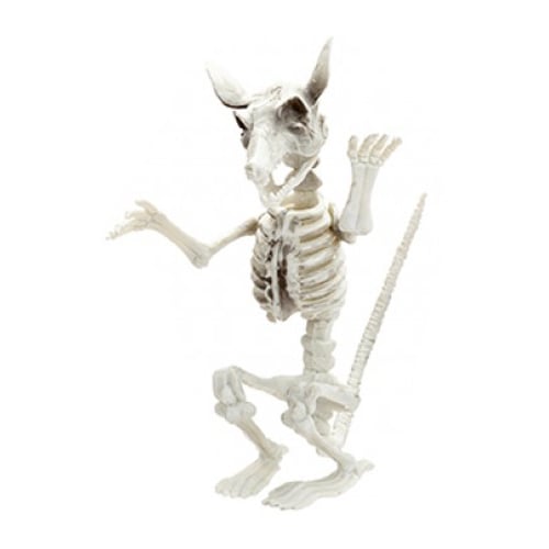 Rat Skeleton Halloween Plastic Prop Decoration 18cm View 2