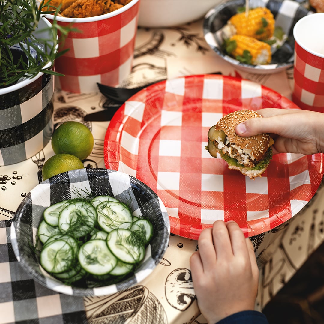 Red Checkered Gingham Picnic & Barbecue Round Paper Plates 27cm - Pack of 6 Product Gallery Image