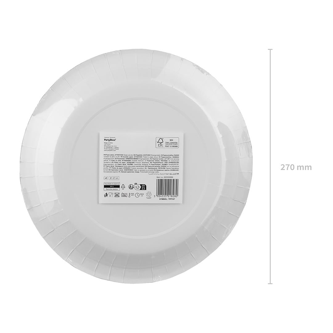 Red Checkered Gingham Picnic & Barbecue Round Paper Plates 27cm - Pack of 6 Product Gallery Image