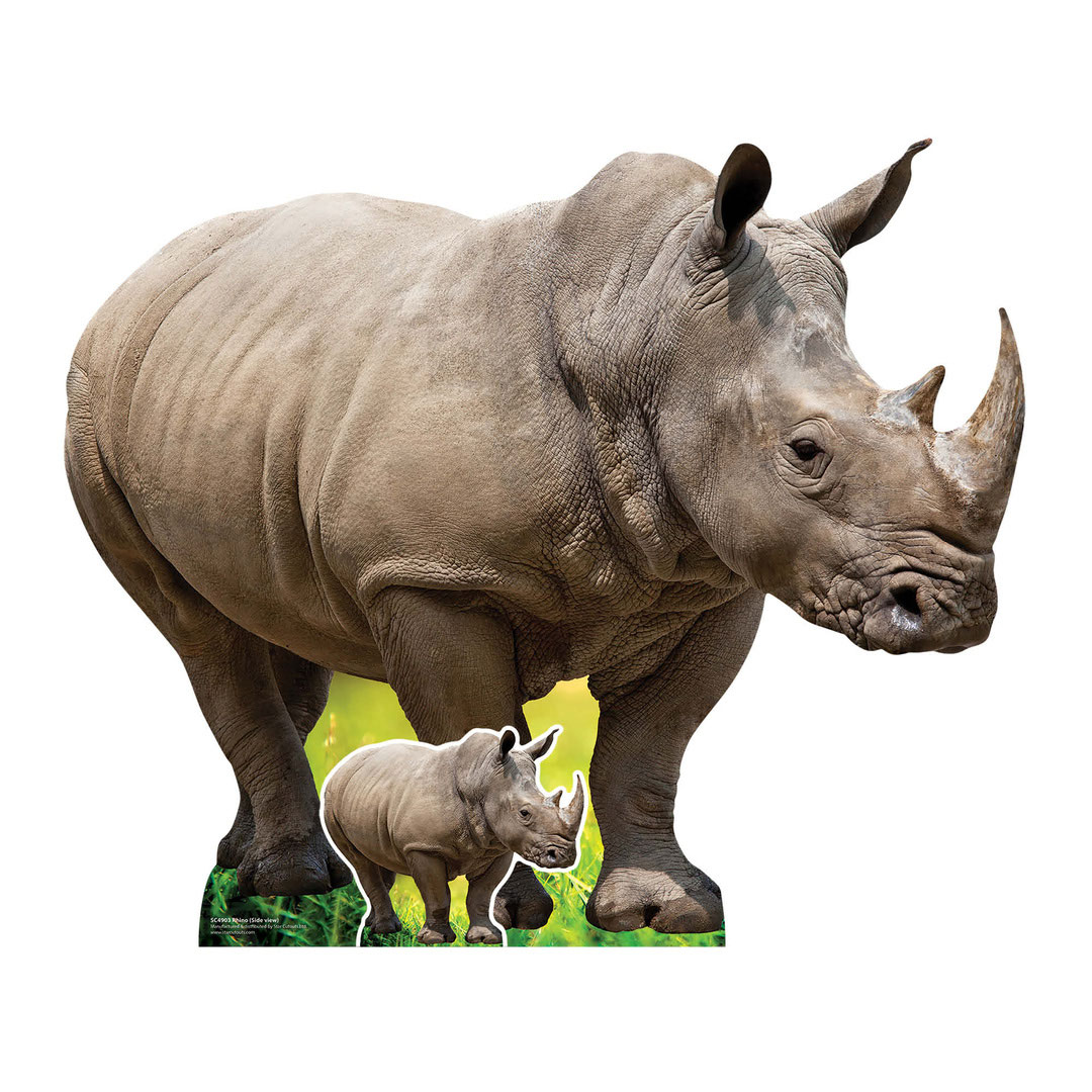 Rhino Side View Lifesize Cardboard Cutout 94cm