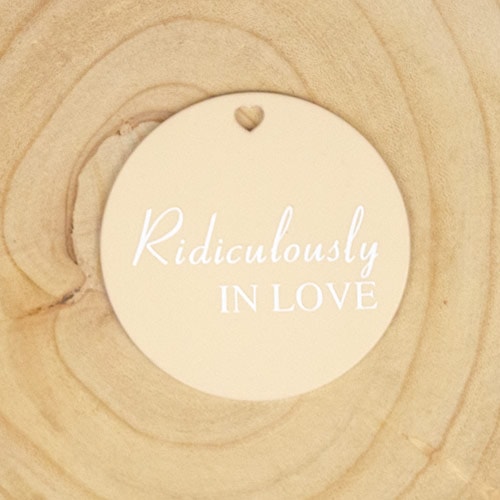 Ridiculously In Love Valentine's Acrylic Gift Tag Product Gallery Image