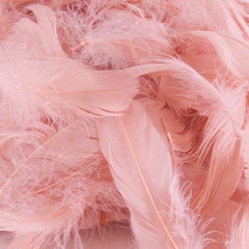 Rose Gold Eleganza Feathers 50g Product Image