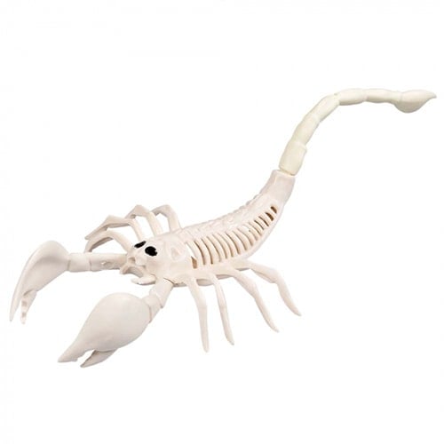 Scorpion Skeleton Halloween Plastic Prop Decoration 31cm Product Image