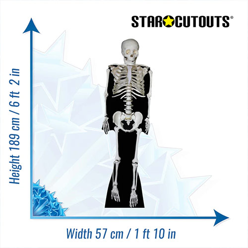 Skeleton Halloween Lifesize Cardboard Cutout 189cm Product Gallery Image