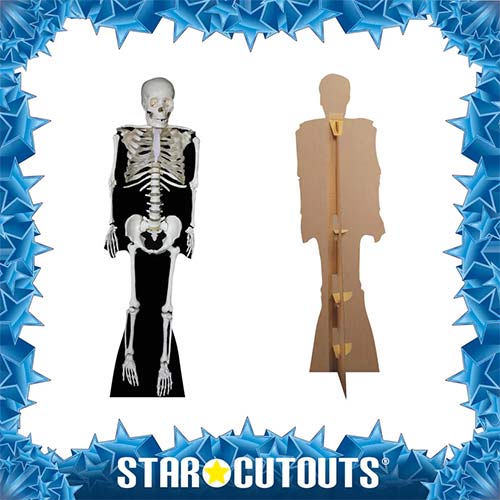Skeleton Halloween Lifesize Cardboard Cutout 189cm Product Gallery Image