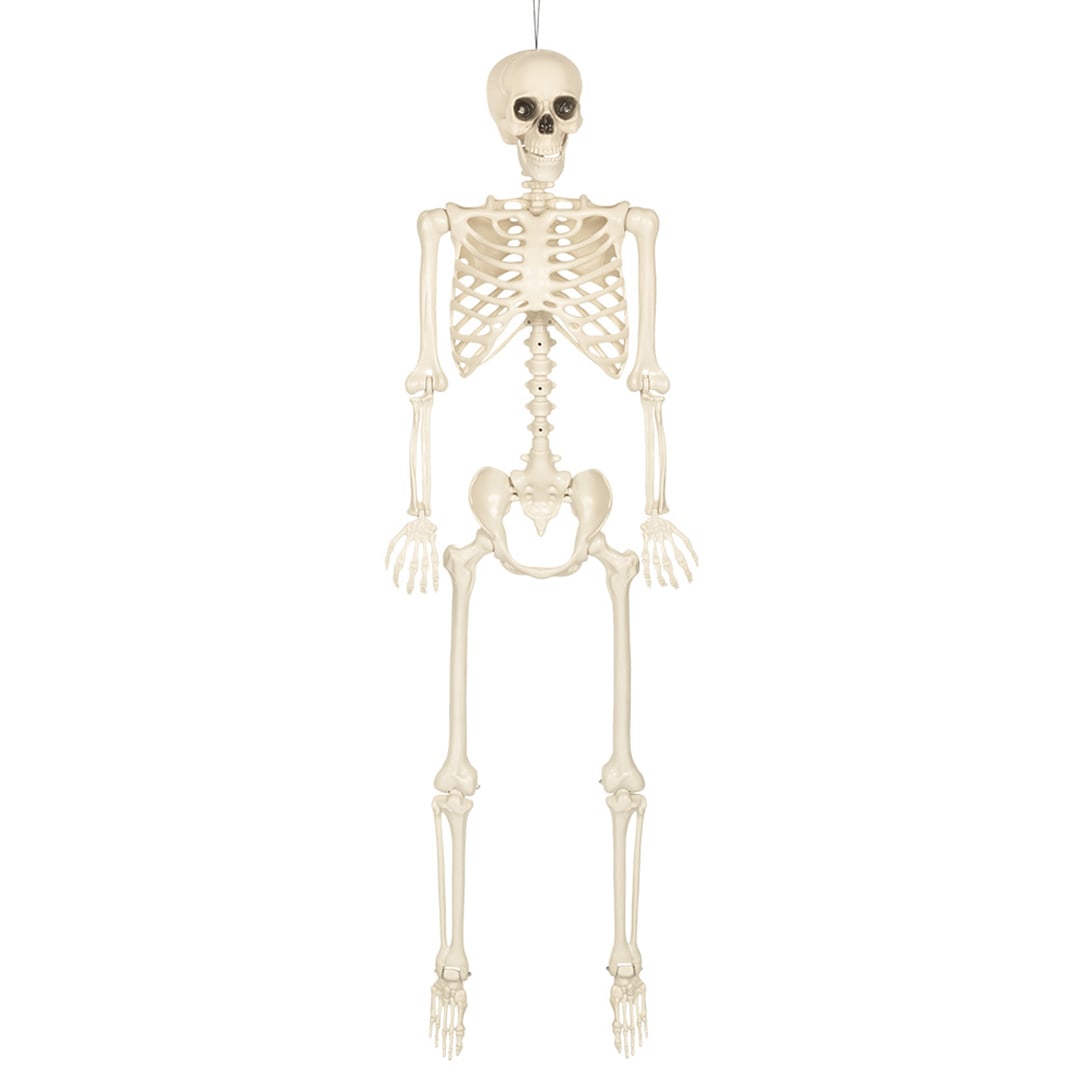 Skinny White Skeleton Halloween Hanging Prop Decoration 1.6m