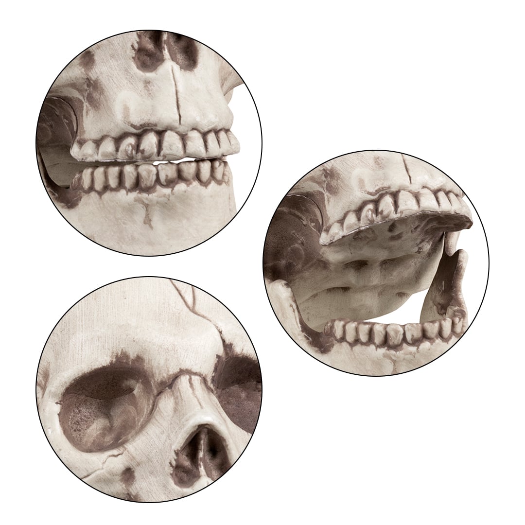 Skull Jawbone with Movable Jaw Halloween Prop Decoration 16cm View 6