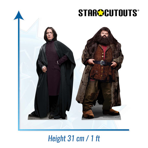 Snape and Hagrid Harry Potter Table Top Cardboard Cutouts - Pack of 2 Product Gallery Image