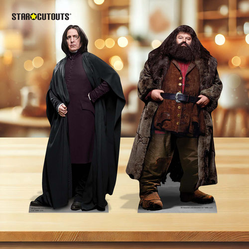 Snape and Hagrid Harry Potter Table Top Cardboard Cutouts - Pack of 2 Product Gallery Image