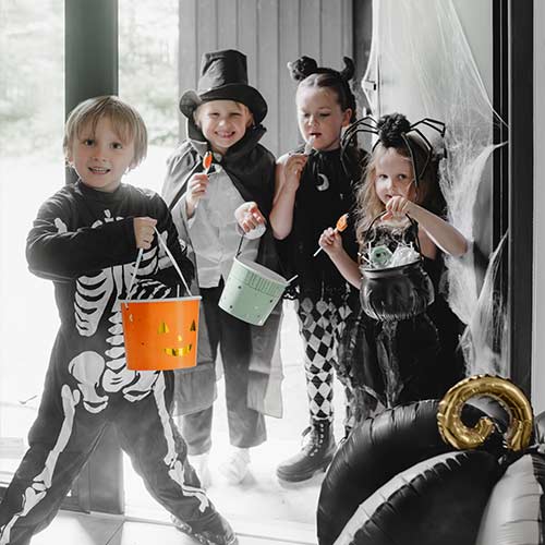 Spider Plush Halloween Fancy Dress Headband Product Gallery Image