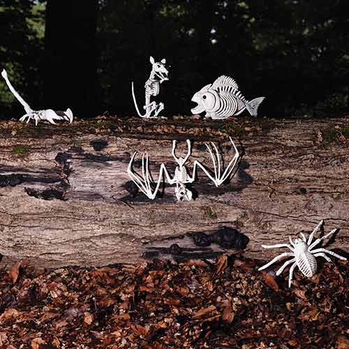 Spider Skeleton Halloween Plastic Prop Decoration 35cm Product Gallery Image