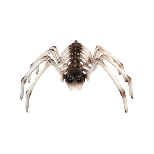 Spider Skeleton Prop Plastic Halloween Decoration Product Gallery Image