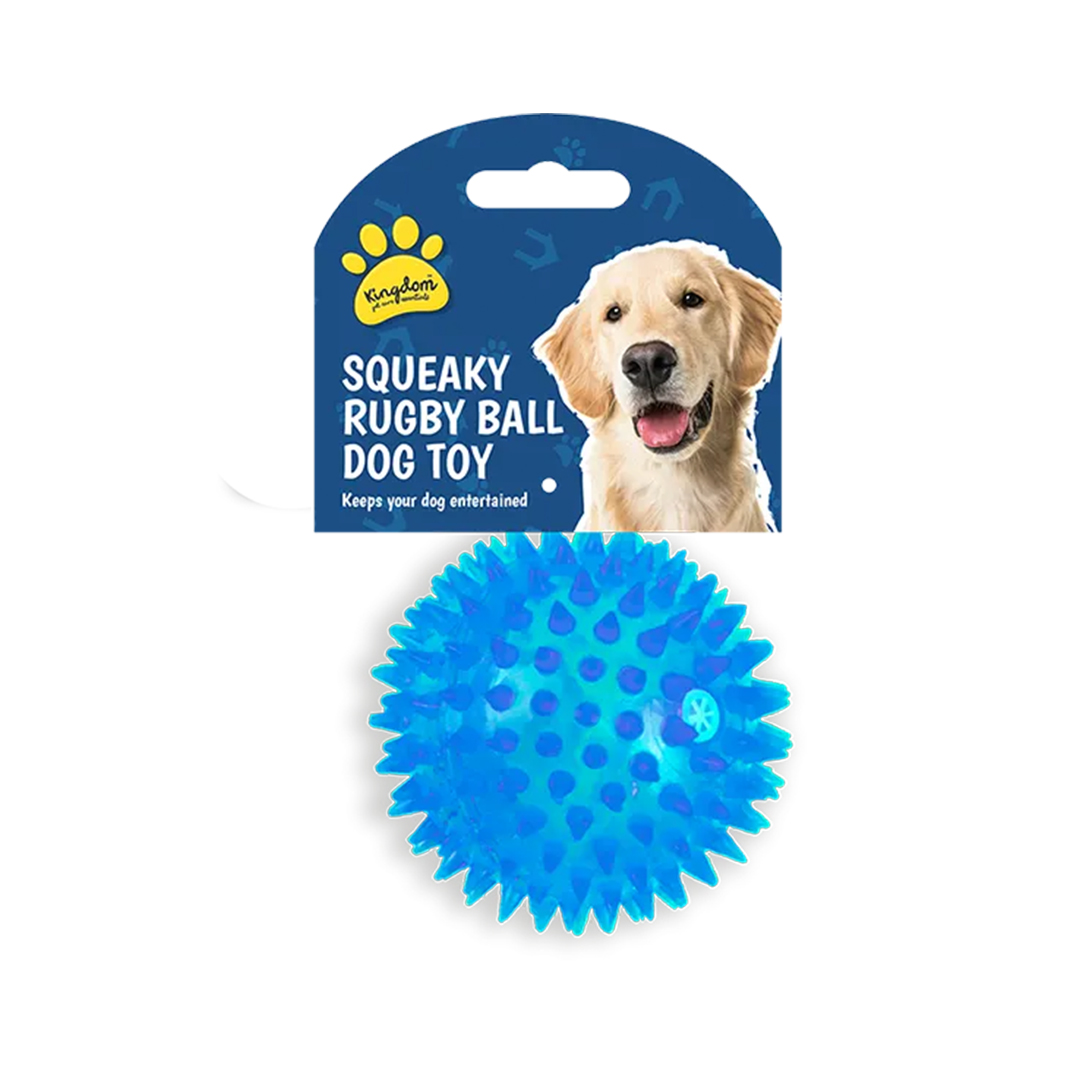 Squeaky Blue LED Light Up Ball Dog Toy