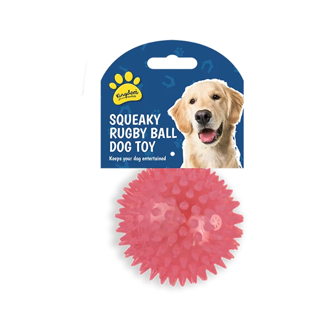 Squeaky Pink LED Light Up Ball Dog Toy