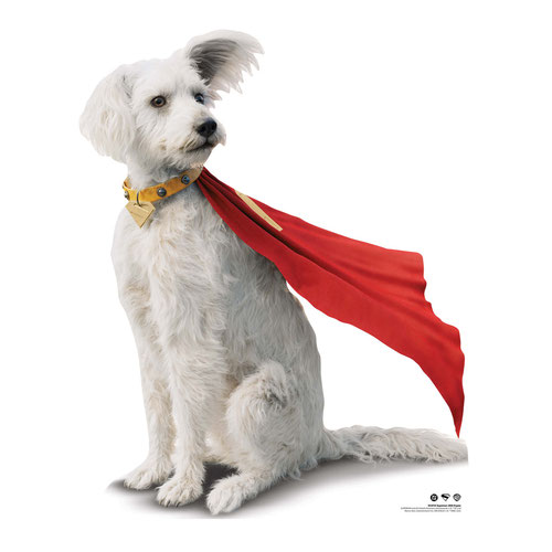 Superman 2025 Movie DC Comics Krypto Star Mini Cardboard Cutout 94cm Product Gallery Image