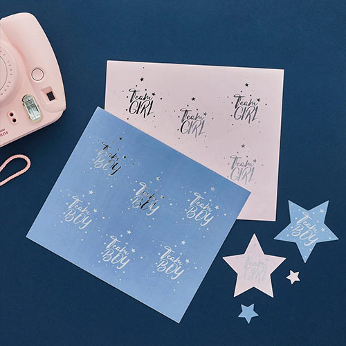 Team Boy & Team Girl Gender Reveal Stickers - Pack of 24 Product Gallery Image