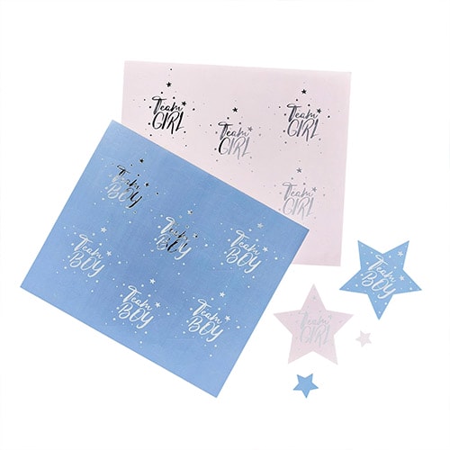 Team Boy & Team Girl Gender Reveal Stickers - Pack of 24 Product Gallery Image