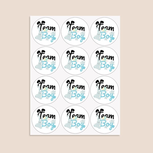 Team Boy Bunny Gender Reveal Round Stickers 60mm - Sheet of 12 Product Gallery Image