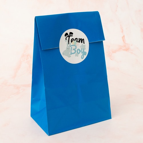 Team Boy Bunny Gender Reveal Round Stickers 60mm - Sheet of 12 Product Gallery Image