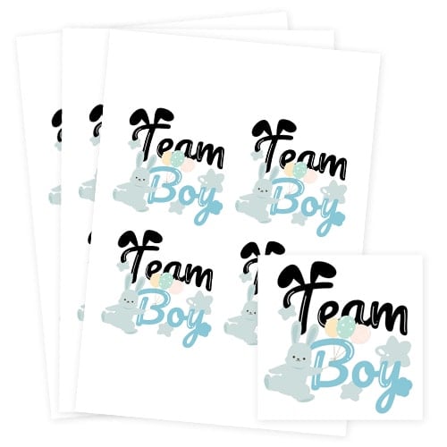 Team Boy Bunny Gender Reveal Square Stickers 95mm - Sheet of 4 Product Gallery Image