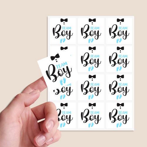 Team Boy Gender Reveal Square Stickers 65mm - Sheet of 12 Product Gallery Image