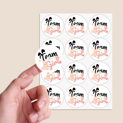 Team Girl Bunny Gender Reveal Round Stickers 60mm - Sheet of 12 Product Gallery Image