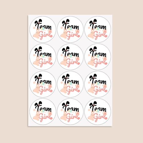 Team Girl Bunny Gender Reveal Round Stickers 60mm - Sheet of 12 Product Gallery Image