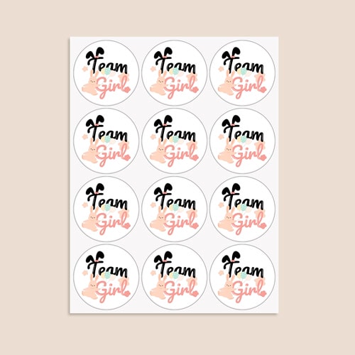 Team Girl Bunny Gender Reveal Round Stickers 60mm - Sheet of 12 Product Gallery Image